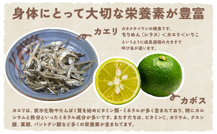 百年続く「村のまかない飯」いり飯のもと 3合 (3-4人前) 5パック 村のごちそう宮商店 《30日以内に出 荷予定(土日祝除く)》ご当地グルメ ごはんのお供 ご飯に混ぜるだけ 徳島 郷土料理 混ぜ込みごはん 食育 徳島県 佐那河内村【配送不可地域あり】---sanagouchi_mst_2_5p---