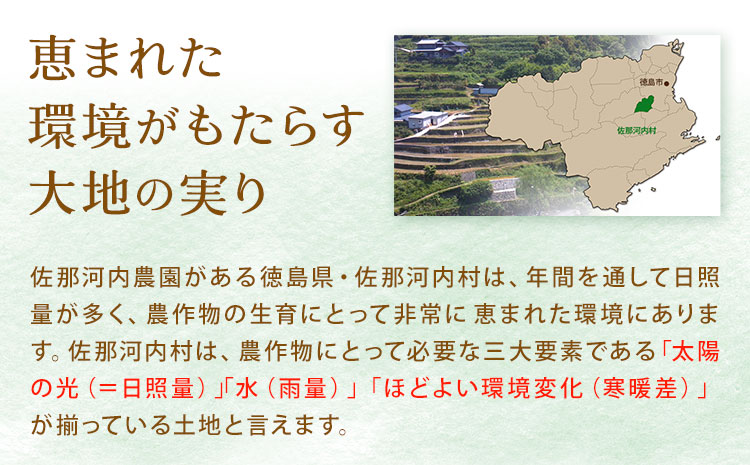 すだち発泡入浴料 5袋入り さくらサービス株式会社 《30日以内に出荷予定(土日祝除く)》| 入浴剤 炭酸 ご当地入浴剤 徳島県 佐那河内村  ---sanagouchi_sks_4_5k---