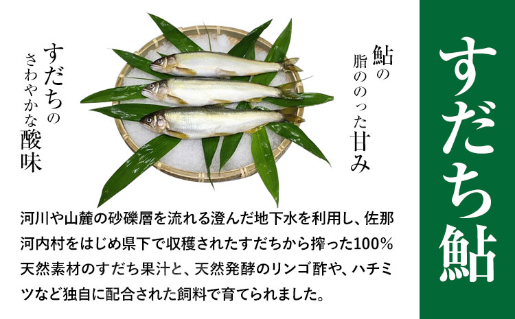 すだち鮎一夜干し 20~25cm×5枚 冷凍 有限会社岩崎商店 《30日以内に出荷予定(土日祝除く)》│ 徳島県産 あゆ アユ 魚 魚介 川魚 塩焼き 甘露煮 徳島県 佐那河内村---sanagouchi_ist_1_5mi---