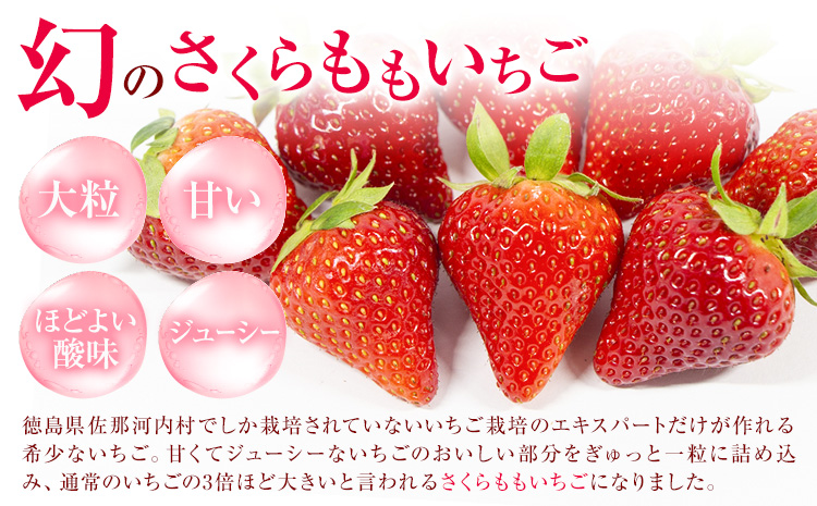 さくらももいちごのろうる ケーキ ロールケーキ 洋菓子 苺 いちご 1本 福屋 盛壽の郷《12月下旬-2月末頃出荷》徳島県 佐那河内村 送料無料 菓子 苺ケーキ デザート さくらももいちご【配送不可地域あり】(北海道・東北・沖縄・離島)---sanagouchi_fky_1_1k---