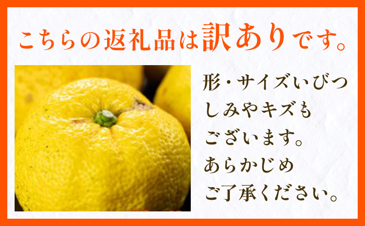 ゆず 訳あり 柚子 約1.5kg 《11月中旬-1月中旬頃発送》徳島県 佐那河内村 ゆず 柑橘 フルーツ 旬【配送不可地域あり】※離島---sanagouchi_lcl_19_1500g---