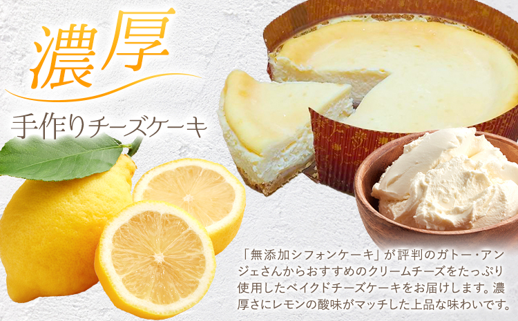 クリームチーズたっぷり！濃厚ベイクドチーズケーキ 1ホール(直径約17cm) ガトー・アンジェ《30日以内に出荷予定(土日祝除く)》徳島県 佐那河内村【配送不可地域あり】---sanagouchi_gta_10_1k---