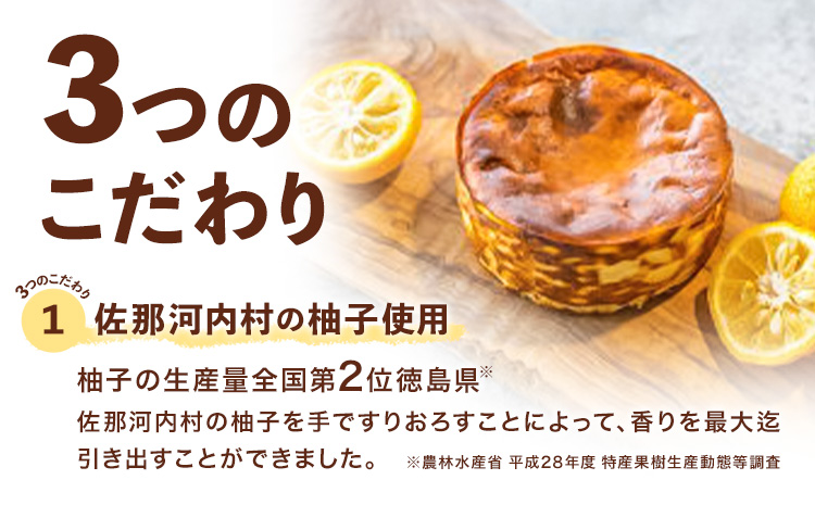 柚子バスクチーズケーキ 1ホール 4号サイズ 株式会社ときわ《30日以内に出荷予定(土日祝除く)》徳島県 佐那河内村 冷凍便 スイーツ 濃厚 クリーミー ご褒美 バスクチーズケーキ スイーツ デザート おやつ お菓子 洋菓子 冷凍 ギフト チーズケーキ 贈り物---sanagouchi_tkw_2_1k---