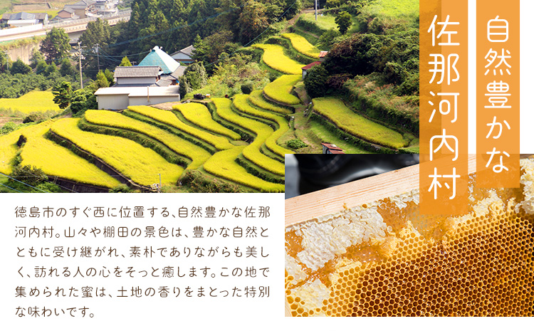 けんちゃんちのはちみつ 300g 3本セット《30日以内に出荷予定（土日祝除く）》ふるさと納税 はちみつ ハチミツ 蜂蜜 国産蜂蜜 天然蜜蜂 徳島県 佐那河内村 送料無料---tsm_mkf5_30d_25_14500_900g---
