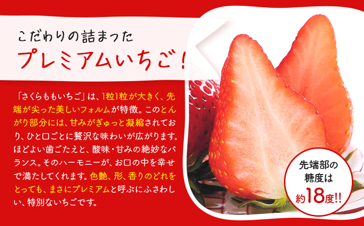 いちご 佐那河内村限定 さくらももいちご  24粒 28粒 化粧箱 JA徳島市佐那河内支所 ふる里産品推進協議会《3月上旬-3月下旬発送》徳島県 佐那河内村【配送不可地域あり】※離島 | ブランドいちご 産地直送 ギフト大賞 ジューシー---sanagouchi_hss_8_1k---