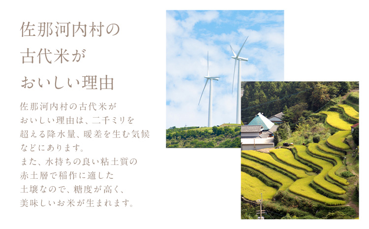 雑穀米 『阿波音』 味くらべセット 20袋 株式会社みむら《30日以内に出荷予定(土日祝除く)》徳島県 佐那河内村 米 コメ お米 古代米 雑穀 赤飯 玄米---sanagouchi_mmr_2_20p---