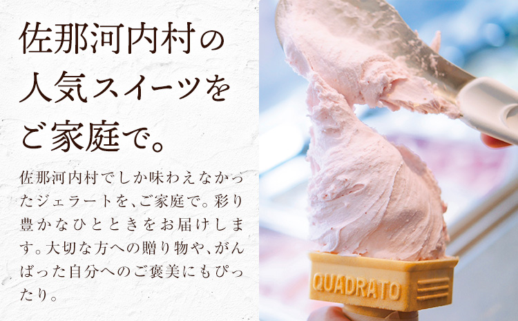 ジェラート アイス スイーツ SANAGOCHI GELATO 6個 株式会社クリスティーヌ 《30日以内に出荷(土日祝除く)》 徳島県 佐那河内村 お菓子 ご褒美 プレゼント いちご チョコ ピスタチオ ミルク 【配送不可地域あり】(離島)---sanagouchi_kst_1_6k---