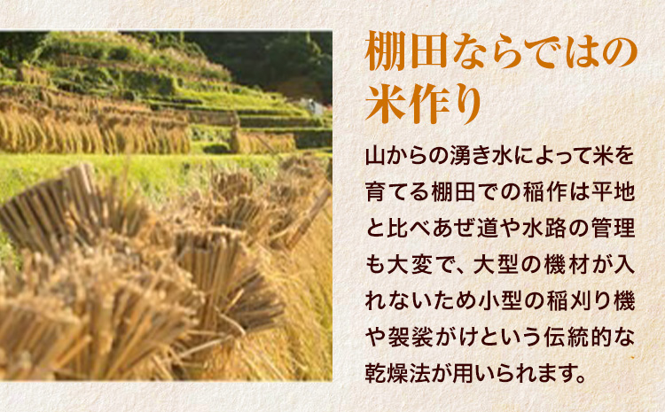 清流と寒暖差が生む村自慢の棚田米 精米 5kg《1月中旬-2月末出荷》徳島県 佐那河内村 お米 米 白米 送料無料---sanagouchi_lcl_45_5kg---