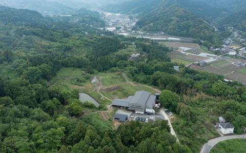 山神果樹薬草園　柑橘リキュールすだち9％　500ml 《30日以内に出荷予定(土日祝除く)》  ---sanagouchi_myk_25_1set---