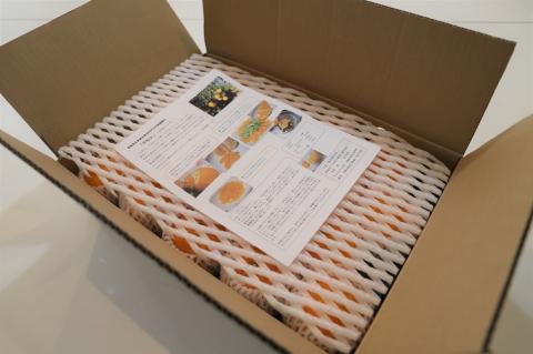 厳選！市原さんちの不知火(しらぬい)　1箱(15玉～24玉入り)　※2026年3月初旬頃から発送　※離島不可　---sanagouchi_ine_1_1hk---