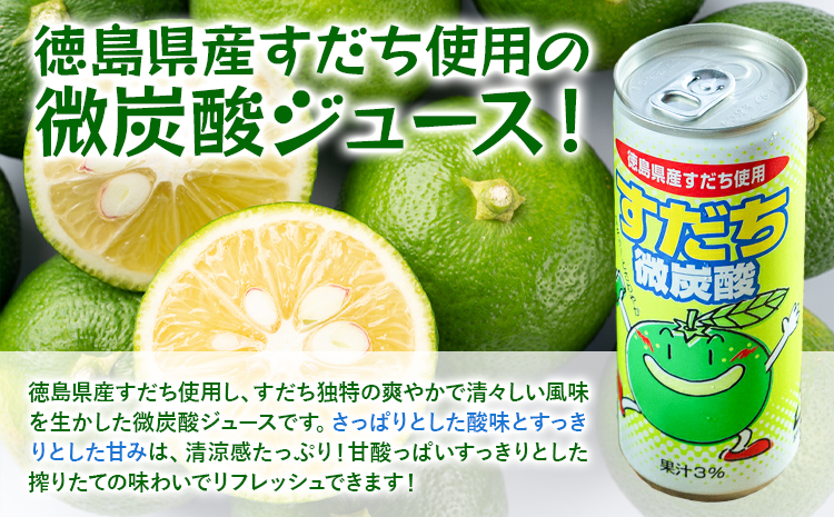 2ケースセット　すだち微炭酸(250ml×30本入) 《30日以内に出荷予定(土日祝除く)》  ---sanagouchi_jat_13_60hn---