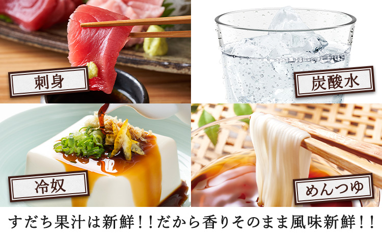 爽快！100%すだち果汁　300ml 《30日以内に出荷予定(土日祝除く)》徳島県産 すだち お試し 鍋料理 魚 寿司 すし スダチ すだち 焼酎 豆腐 肉 調味料 徳島県 佐那河内村 ---sanagouchi_jat_4_300ml---