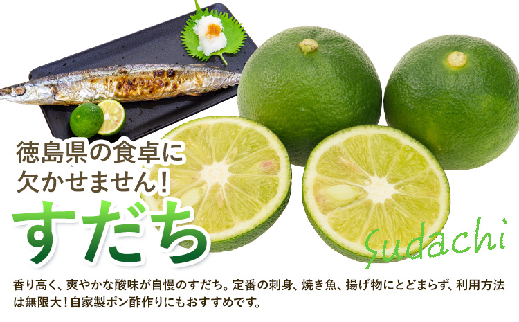 令和8年度果樹オーナー権（すだち）---sanagouchi_sko_7_1k---