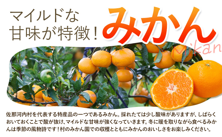 令和8年度果樹オーナー権（みかん）---sanagouchi_sko_8_1k--