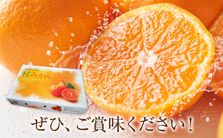 雨よけ完熟みかん「あまあま」選べる内容量 約4.4kg 正木久之《12月下旬-1月中旬》徳島県 佐那河内村 みかん ミカン 蜜柑 柑橘 箱入り 化粧箱 フルーツ 果物 くだもの 贈答【配送不可地域あり】※離島不可---sanagouchi_mhy_2_2hk---