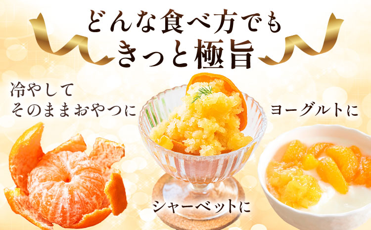 ＜先行予約＞ 熟成みかん『極旨』2箱 廣畠農園《2月初旬-2月末頃出荷予定》徳島県 佐那河内村 みかん ミカン 蜜柑 柑橘 箱入り 化粧箱 フルーツ 果物 くだもの 贈答 【配送不可地域あり】※離島---sanagouchi_hhn_4_2hk---