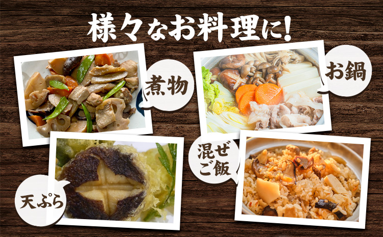 「訳あり」生しいたけ　200g×3袋(サイズ混合)　【配送不可地域あり】※離島不可 《30日以内に出荷予定(土日祝除く)》しいたけ 椎茸 シイタケ 生 大ぶり 食べ応え 厚い しいたけ 訳あり しいたけ 肉厚 しいたけ 醤油 徳島県 佐那河内村 ---sanagouchi_izs_15_3p---