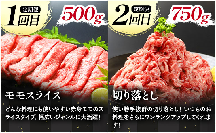 《定期便》全4回お届け！大川原高原牛赤身定期便(スライス・切り落とし・焼肉・しゃぶしゃぶ 各500gずつ) 株式会社肉の藤原 《お申込み月の翌月から出荷開始》牛肉 定期便 月1回 徳島県 佐那河内村---sanagouchi_nfw_17_tei---