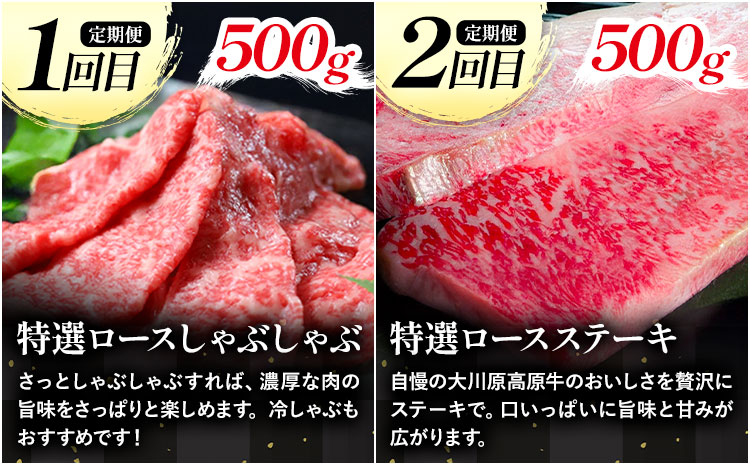 《定期便》全4回お届け！大川原高原牛 特選ロース(しゃぶしゃぶ・ステーキ・焼肉・スライス 各500gずつ) 株式会社肉の藤原 《お申込み月翌月から出荷開始》牛肉 定期便 月1回 徳島県 佐那河内村---sanagouchi_nfw_18_tei---