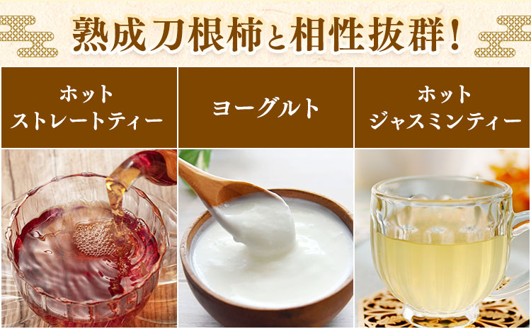佐那河内村産 こだわりの刀根柿 500g (真空パック) 山本清 《30日以内に出荷予定(土日祝除く)》│ 干し柿 干柿 柿 かき カキ フルーツ 果物 くだもの 農家直送 家庭用 秋の味覚 旬 徳島県 佐那河内村---sanagouchi_ymk_3_500g---