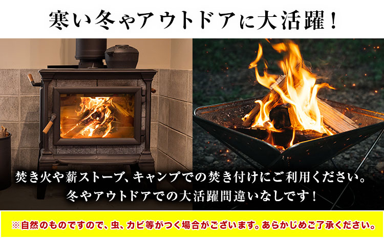 薪(焚き付け用) 徳島県産杉材 山口製材《30日以内に出荷予定(土日祝除く)》| 乾燥 薪 乾燥薪 薪ストーブ 針葉樹 焚き火 バーベキュー キャンプ 防災 アウトドア 徳島県 佐那河内村【配送不可地域あり】(離島)---sanagouchi_ygs_1_10kg---
