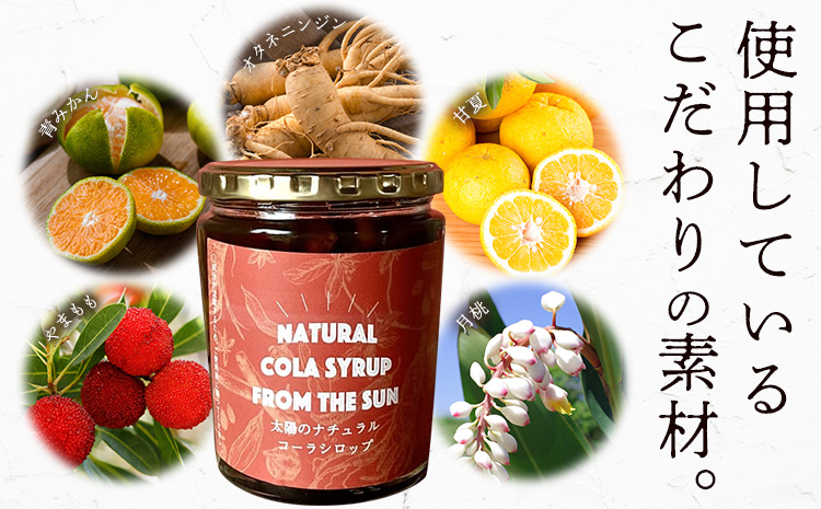 太陽のナチュラルコーラ＆満月のエキゾチックジンジャエール 濃縮タイプ 1瓶約７～8杯分 TABEL株式会社《30日以内に出荷予定(土日祝除く)》 │ クラフトコーラ クラフトジンジャーエール 炭酸割り コーラシロップ お取り寄せ 徳島県 佐那河内村 ---sanagouchi_tbl_2_2hn---