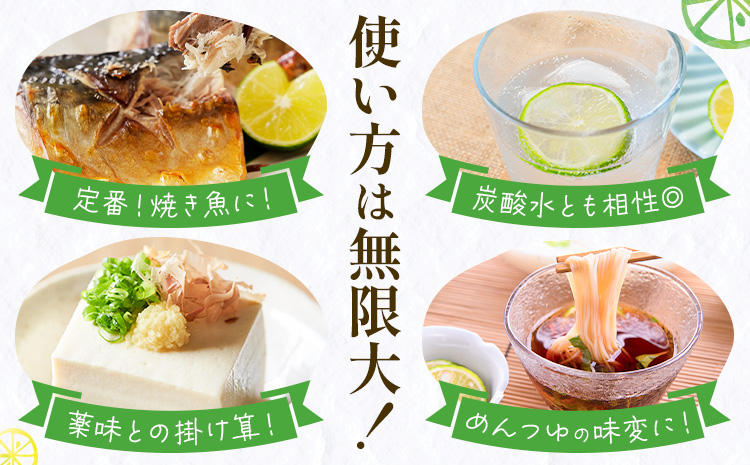 ＜ 先行予約 ＞ 生産量日本一 徳島県産 ハウスすだち 2kg 《2026年6月中旬-8月上旬頃に出荷予定(土日祝除く)》徳島 すだち スダチ 露地 魚 豆腐 冷奴 焼き魚 天ぷら 刺身 徳島県 佐那河内村---sanagouchi_hss_2_2kg---