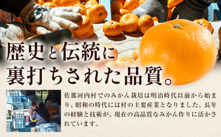 訳あり 熟成みかん 1.9kg 《1月上旬-3月上旬頃出荷》徳島 柑橘 ミカン 蜜柑 フルーツ 青果物 お試し 徳島県 佐那河内村---sanagouchi_lcl_40_1900g---