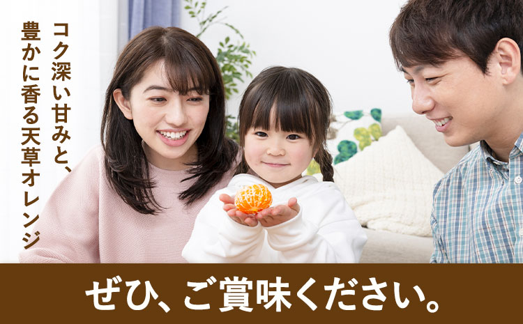 ハウス追熟 天草オレンジ 4玉～9玉入 廣畠農園《1月中旬頃出荷予定》徳島県 佐那河内村 みかん ミカン 蜜柑 柑橘 フルーツ 果物 くだもの【配送不可地域あり】※離島---sanagouchi_hhn_5_1hk---