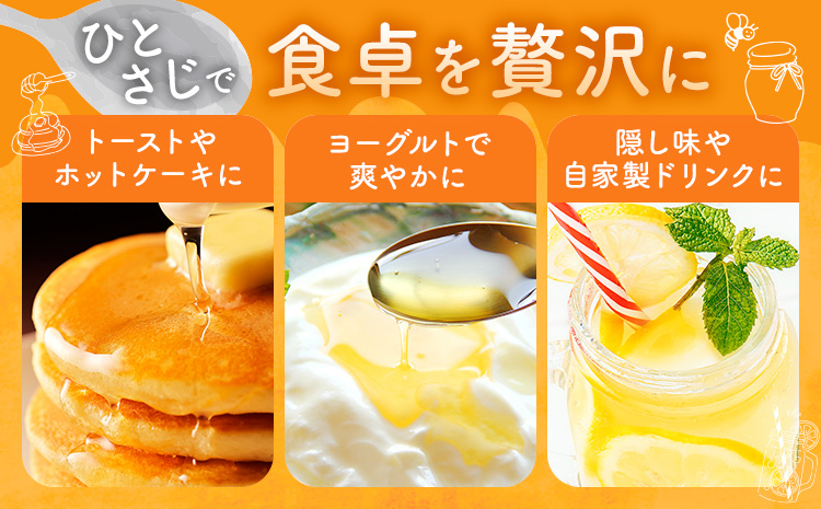 けんちゃんちのはちみつ 730g 2個セット《30日以内に出荷予定（土日祝除く）》ふるさと納税 はちみつ ハチミツ 蜂蜜 国産蜂蜜 天然蜜蜂 徳島県 佐那河内村 送料無料---tsm_mkf7_30d_25_23500_1460g---