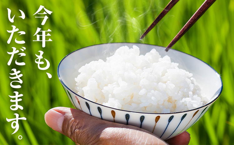 清流と寒暖差が生む村自慢の棚田米 精米 5kg《1月中旬-2月末出荷》徳島県 佐那河内村 お米 米 白米 送料無料---sanagouchi_lcl_45_5kg---