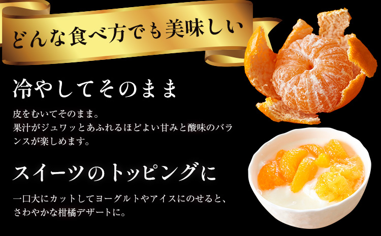 ＜先行予約＞ 蔵出し熟成みかん『極』2箱 《2月中旬-2月末頃出荷予定》みかん ミカン 蜜柑 mikan 貯蔵 柑橘 佐那河内 さなごうち 徳島県 箱入り 化粧箱 S M L フルーツ 果物 くだもの 贈答 進物 --sanagouchi_lcl_22_2hk---