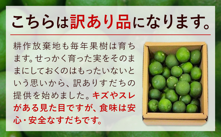 ＜2026年予約受付＞ 生産量日本一!! ちょっとキズでも香りは満点 徳島県産 訳ありすだち 500g《9月上旬-9月末頃に出荷予定(土日祝除く)》徳島県 佐那河内村 すだち サイズ不揃い B級すだち すだち キズあり すだち 不揃い---tsm_lcl11_ac9_25_4000_500g---