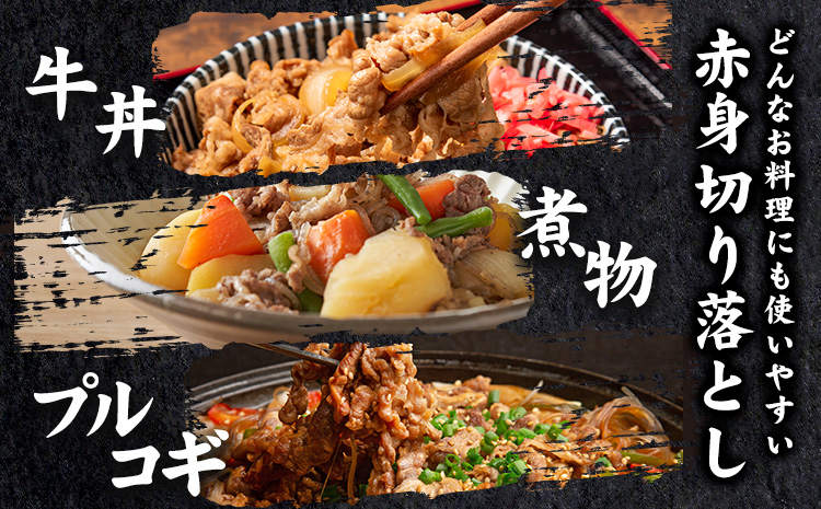 大川原高原牛　赤身切り落とし　750g 《60日以内に出荷予定(土日祝除く)》---sanagouchi_nfw_1_750g---