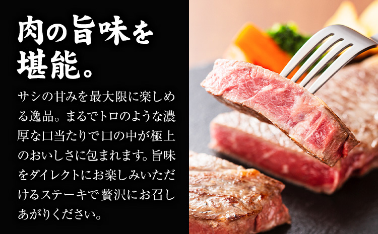大川原高原牛 特選ロースステーキ 計500g 冷凍便 肉の藤原 《60日以内に出荷予定(土日祝除く)》和牛 希少 大川原高原 牛肉 焼肉 ロース 牛肉 ステーキ 贅沢 バーベキュー BBQ キャンプ ギフト 贈答 徳島県 佐那河内村---sanagouchi_nfw_12_500g---st-p