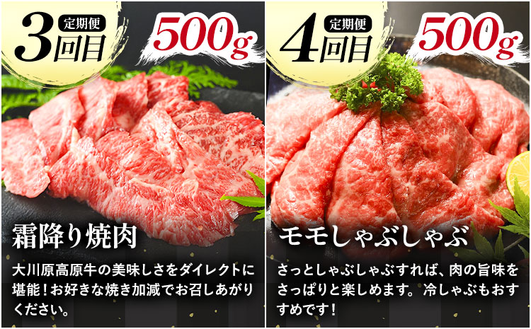 《定期便》全4回お届け！大川原高原牛赤身定期便(スライス・切り落とし・焼肉・しゃぶしゃぶ 各500gずつ) 株式会社肉の藤原 《お申込み月の翌月から出荷開始》牛肉 定期便 月1回 徳島県 佐那河内村---sanagouchi_nfw_17_tei---