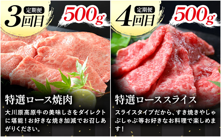 《定期便》全4回お届け！大川原高原牛 特選ロース(しゃぶしゃぶ・ステーキ・焼肉・スライス 各500gずつ) 株式会社肉の藤原 《お申込み月翌月から出荷開始》牛肉 定期便 月1回 徳島県 佐那河内村---sanagouchi_nfw_18_tei---