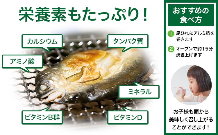 すだち鮎一夜干し 20~25cm×5枚 冷凍 有限会社岩崎商店 《30日以内に出荷予定(土日祝除く)》│ 徳島県産 あゆ アユ 魚 魚介 川魚 塩焼き 甘露煮 徳島県 佐那河内村---sanagouchi_ist_1_5mi---