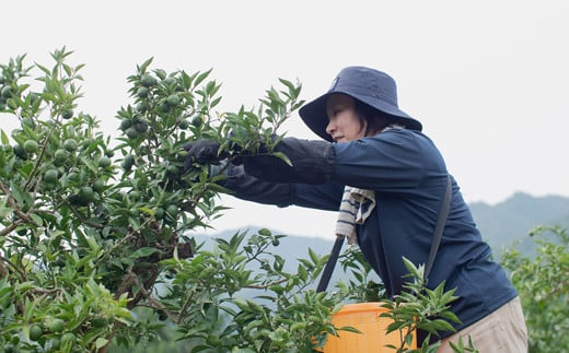 「山神果樹薬草園」すだちのハンドケアセット 《30日以内に出荷予定(土日祝除く)》  ---sanagouchi_myk_14_1set---