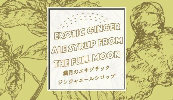 満月のエキゾチックジンジャエール(2本セット) 《30日以内に出荷予定(土日祝除く)》 ---sanagouchi_tbl_3_2hn---