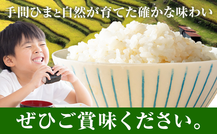 清流と寒暖差が生む村自慢の棚田米 精米 5kg《1月中旬-2月末出荷》徳島県 佐那河内村 お米 米 白米 送料無料---sanagouchi_lcl_45_5kg---