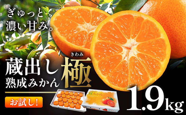 ＼お試し規格╱【極】蔵出し熟成みかん 〜甘さ極まる冬の贅沢〜 蔵出し熟成みかん『極』 1箱 1.9kg《2月中旬-2月下旬頃出荷》みかん ミカン 蜜柑 mikan 貯蔵 柑橘 佐那河内 さなごうち 徳島県 箱入り 化粧箱 S M L フルーツ 果物 くだもの 贈答 進物---sanagouchi_lcl_76_1900g---