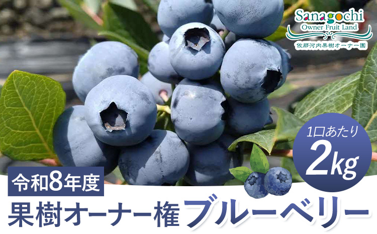 令和8年度果樹オーナー権(ブルーベリー）---sanagouchi_sko_2_1k---