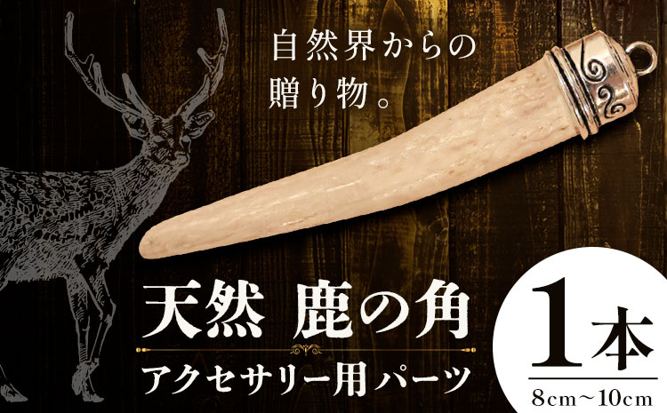 天然・鹿の角アクセサリー用パーツ 【配送不可地域あり】(離島) 一般財団法人さなごうち 《30日以内に出荷予定(土日祝除く)》│ ハンドメイド ハンドメイドパーツ DIY 一点物 天然 徳島県 佐那河内村---sanagouchi_izs_16_1p---