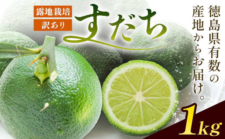 ＜2026年予約受付＞ 生産量日本一!! ちょっとキズでも香りは満点 徳島県産 訳ありすだち 1kg《9月上旬-9月末頃に出荷予定(土日祝除く)》徳島県 佐那河内村 すだち サイズ不揃い B級すだち すだち キズあり すだち 不揃い---tsm_lcl12_ac9_25_4500_1kg---