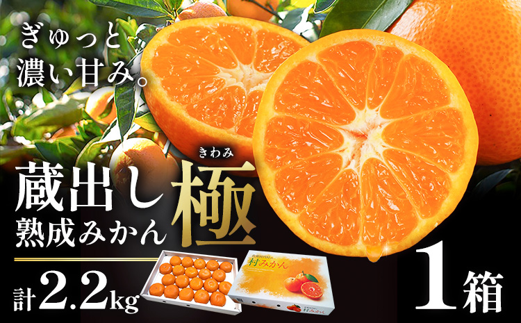 ＜先行予約＞ 蔵出し熟成みかん『極』1箱 《2月中旬-2月末頃出荷予定》みかん ミカン 蜜柑 mikan 貯蔵 柑橘 佐那河内 さなごうち 徳島県 箱入り 化粧箱 S M L フルーツ 果物 くだもの 贈答 進物 ---sanagouchi_lcl_21_1hk---