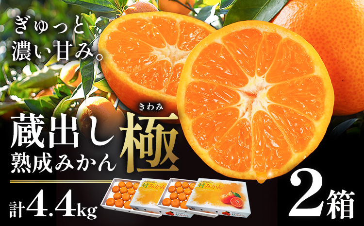 ＜先行予約＞ 蔵出し熟成みかん『極』2箱 《2月中旬-2月末頃出荷予定》みかん ミカン 蜜柑 mikan 貯蔵 柑橘 佐那河内 さなごうち 徳島県 箱入り 化粧箱 S M L フルーツ 果物 くだもの 贈答 進物 --sanagouchi_lcl_22_2hk---