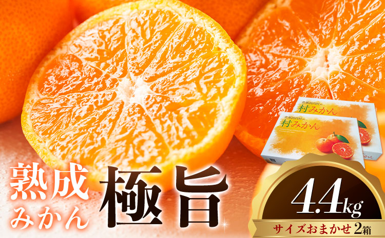 ＜先行予約＞ 熟成みかん『極旨』2箱 廣畠農園《2月初旬-2月末頃出荷予定》徳島県 佐那河内村 みかん ミカン 蜜柑 柑橘 箱入り 化粧箱 フルーツ 果物 くだもの 贈答 【配送不可地域あり】※離島---sanagouchi_hhn_4_2hk---