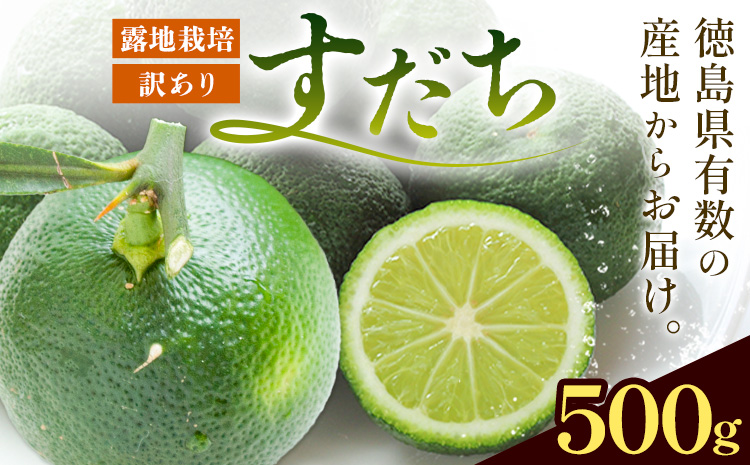 ＜2026年予約受付＞ 生産量日本一!! ちょっとキズでも香りは満点 徳島県産 訳ありすだち 500g《9月上旬-9月末頃に出荷予定(土日祝除く)》徳島県 佐那河内村 すだち サイズ不揃い B級すだち すだち キズあり すだち 不揃い---tsm_lcl11_ac9_25_4000_500g---