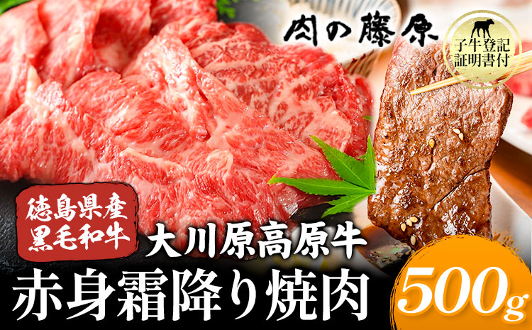 大川原高原牛 赤身霜降り焼肉用 500g 株式会社肉の藤原《60日以内に出荷予定(土日祝除く)》徳島県 佐那河内村 和牛 希少 佐那河内 さなごうち 大川原高原 牛肉 焼肉 贅沢 あっさり バーベキュー BBQ 弁当 冷凍 ギフト 贈答---sanagouchi_nfw_2_500g---